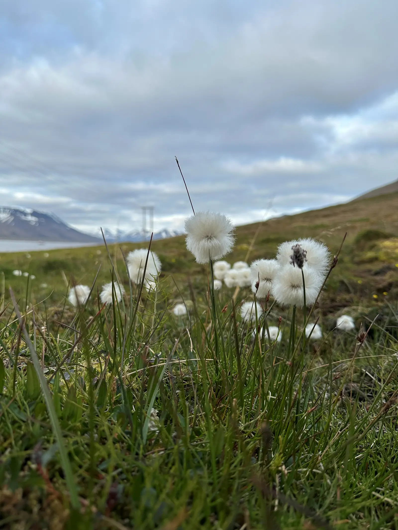 Midnight sun hike and site visit of Seed Vault – 3